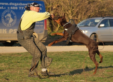 Training in Prague 3/2007